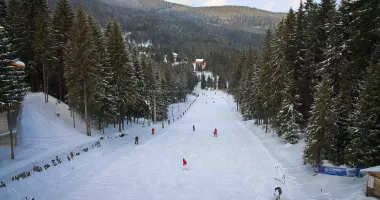 Stire din Social : Foarte mulți turiști și-au anulat vacanțele la munte din cauza lipsei zăpezii