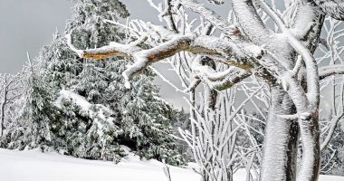 Stire din Actualitate : O furtună de zăpadă în Scoţia a lăsat circa 2.800 de locuinţe fără curent electric