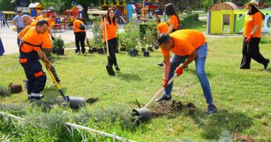 Stire din Social : Zeci de arbuști, plantați în Țara Piticilor