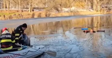 Stire din Actualitate : Lia Olguţa Vasilescu: "Cetățeanul care a salvat fetița din lacul înghețat va primi titlul de cetăţean de onoare"