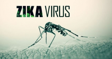 OMS: Zika nu mai e o urgență internațională