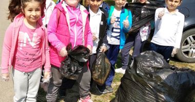 Stire din Cultură-Educație : Zile verzi, la Școala "Grigore Moisil" din Năvodari