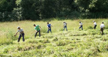 Stire din Social : Info ITM Constanța. Câte ore trebuie să muncească un zilier
