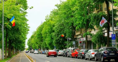 Stire din Social : Ziua Constanței, marcată cu arborarea a peste 200 de steaguri