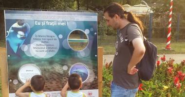 Stire din Social : De Ziua Delfinului, descoperă "Marea Neagră în imagini"!
