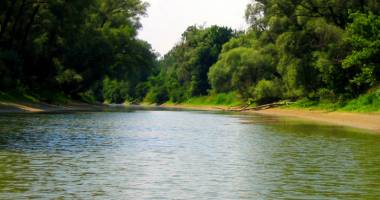 Stire din Social : Copiii vor ecologiza Dunărea