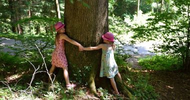 Stire din Cultură-Educație : Ziua Mondială a Mediului, marcată de elevii Liceului Agricol Poarta Albă