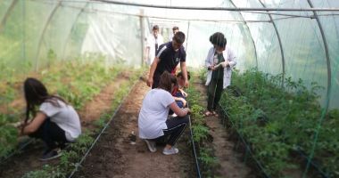 Stire din Cultură-Educație : Ziua Mondială a Mediului, marcată de elevii Liceului Agricol Poarta Albă