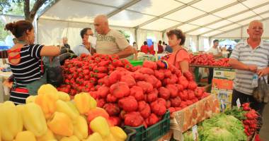 S-a deschis Sărbătoarea Recoltei și a Vinului Dobrogean - 3