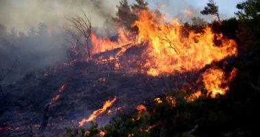 Stire din Actualitate : Un incendiu de pădure, declanşat de un foc de artificii de pe un iaht