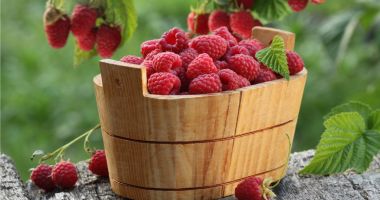 Stire din Sănătate : Zmeura aduce o serie de beneficii pentru frumusețe și sănătate