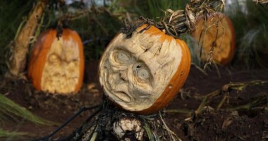VIDEO. Cei mai înspăimântători ZOMBIE sculptați 100% din dovleci GIGANT! - 2