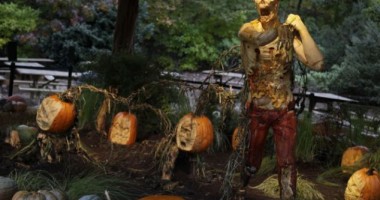 VIDEO. Cei mai înspăimântători ZOMBIE sculptați 100% din dovleci GIGANT! - 3