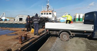 Stire din Economie : Zona din dreptul navei Queen Hind a fost ecologizată
