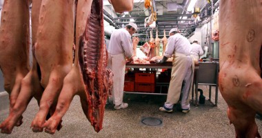 Stire din Economie : Zootehnia a livrat cantități mai mari de carne pe piață în 2013