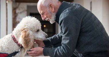 Stire din Sănătate : Terapia cu animale ajută la înlăturarea stresului și anxietății