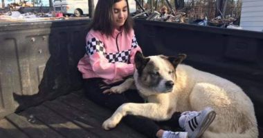 Stire din Actualitate : A fost găsit în viață după 101 zile de la incendiile devastatoare din California