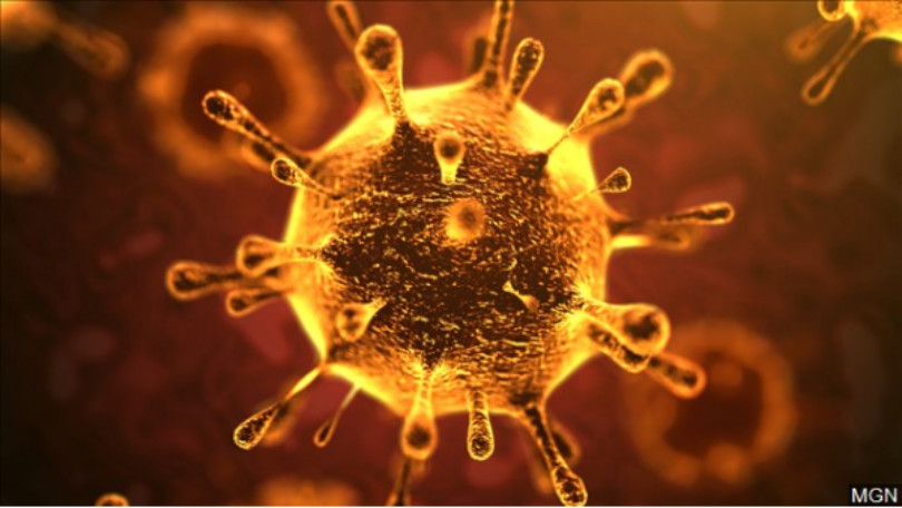 Români suspecți de infectare cu coronavirus, aduși în țară din Germania - 1-1581280865.jpg
