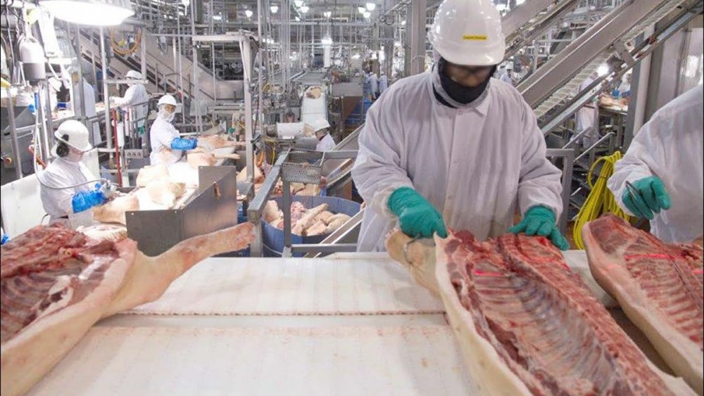 Importurile de carne de porc din Germania, suspendate pe piaţa asiatică - 1-1600099727.jpg
