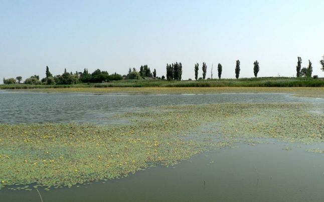 O nouă catastrofă ecologică. Lacul Iezer Călărași a secat - 1-1602848521.jpg