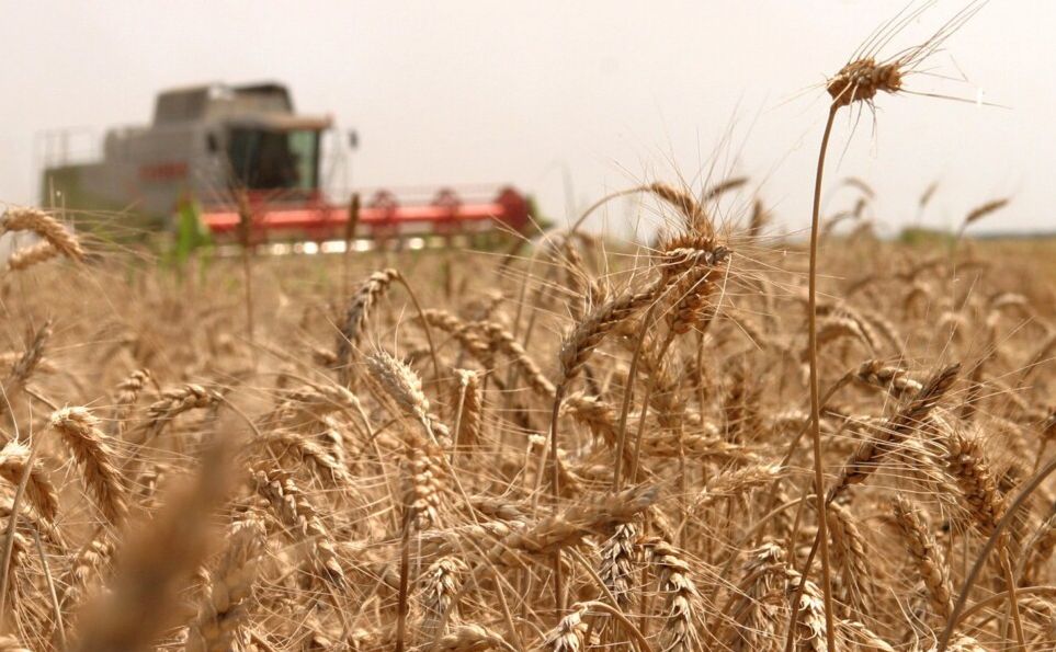 Măsuri de sprijin de urgenţă! Producătorii agricoli de cereale pot depune cereri de finanţare, la APIA, până pe 11 mai - 1-1682332599.jpg
