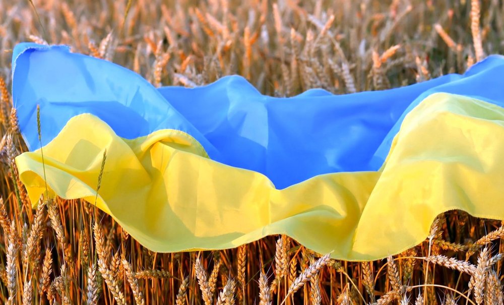 ANSVSA nu va permite importurile de grâu, porumb, floarea-soarelui şi rapiţă originare din Ucraina, până la 5 iunie - 1-1683112384.jpg