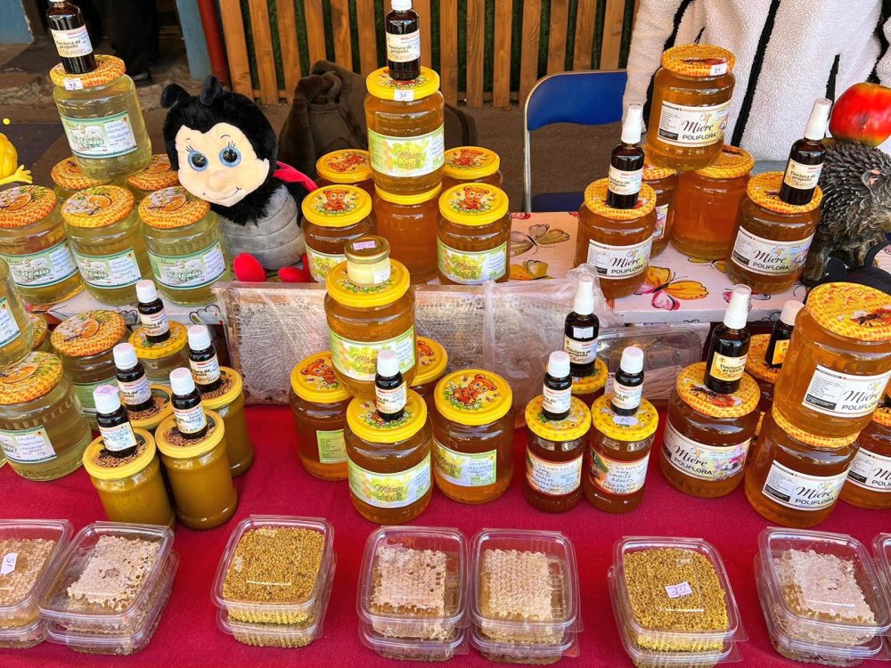 Mediu, sănătate, alimentaţie echilibrată! Târgul Naţional al Mierii a debutat pe platforma apicolă Băneasa - 1-1693564518.jpg