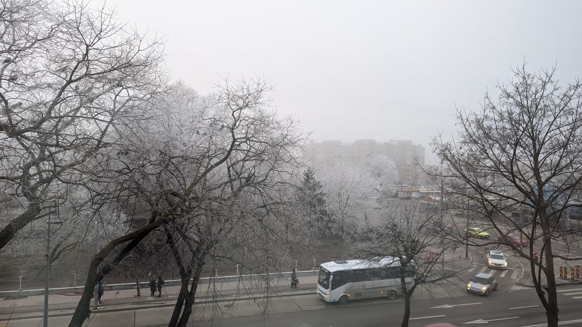 Cod galben de ceață, astăzi, la Constanța - 1-1706083229.jpeg