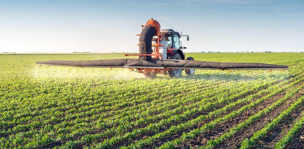 APIA: Cererile de acordare a grantului în domeniul agricol vegetal se pot depune începând din 29 ianuarie - 1-1706179208.jpg