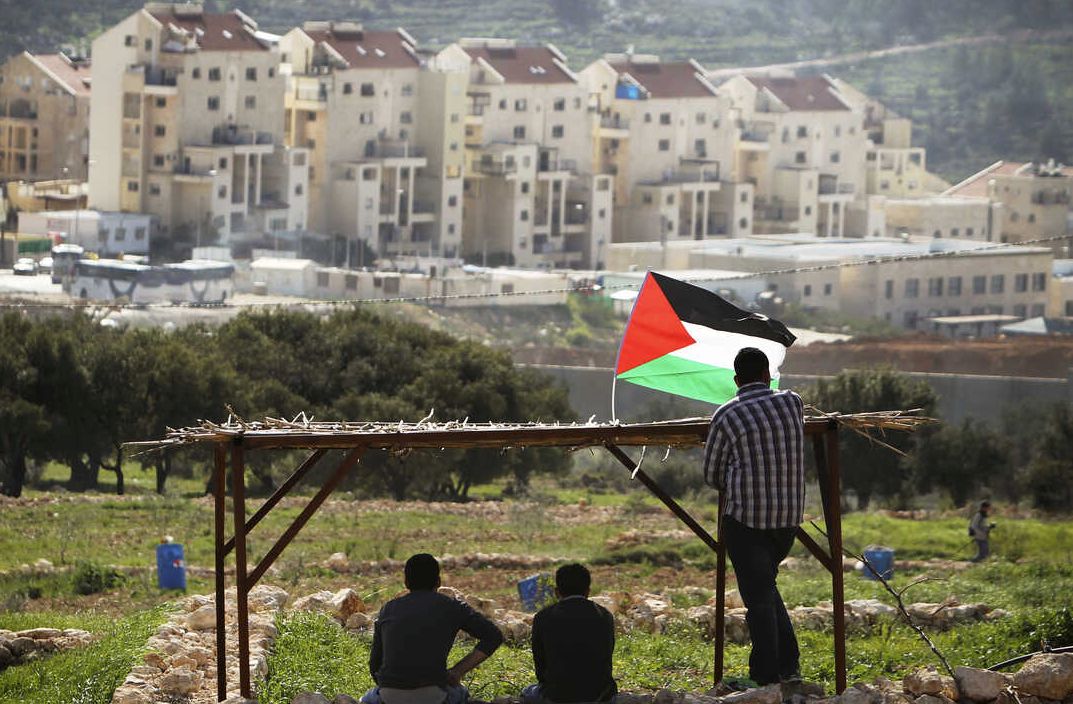 CIJ începe audieri cu privire la consecinţele juridice ale ocupării teritoriilor palestiniene de către Israel - 1-1708328890.jpg