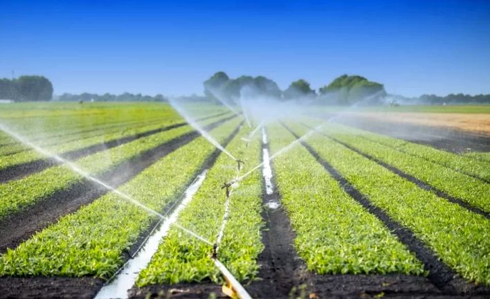 Sistemele de irigaţii, în atenţia ministrului Agriculturii, în vizita de la Constanţa - 1-1715244314.jpg