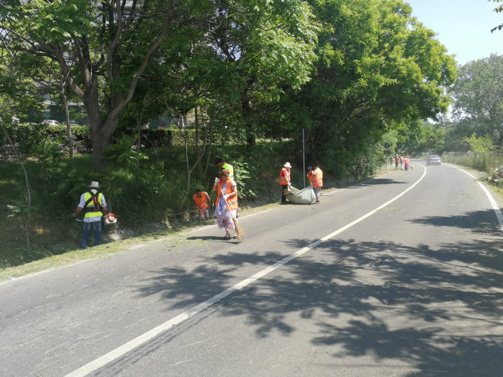 Continuă acțiunile de salubrizare stradală, în Constanța! - 11-1559556888.jpg