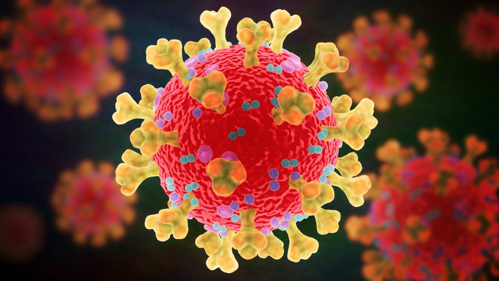 România se pregătește să lupte cu noul coronavirus Omicron - 1121-1638017117.jpg