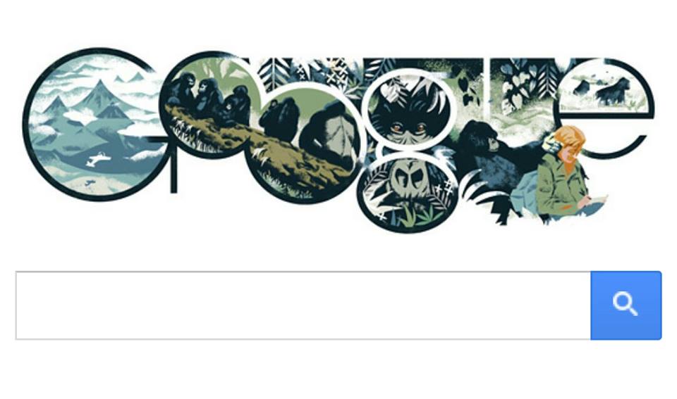 Logo Google, dedicat zoologului american Dian Fossey - 151239623555394329281813096391n-1389864098.jpg