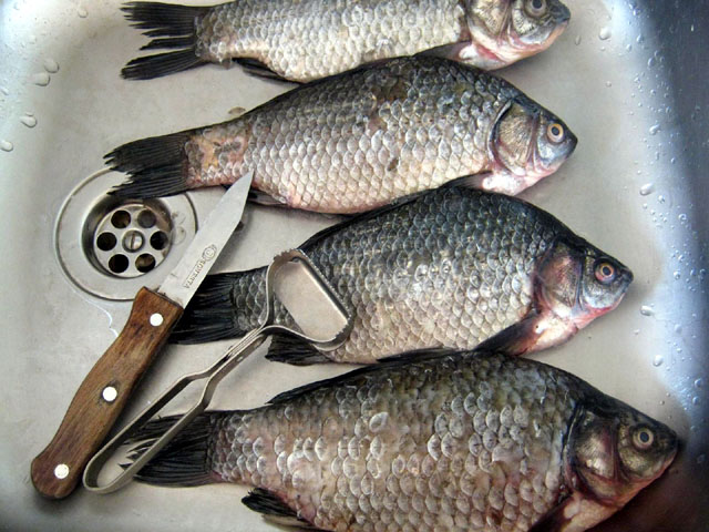 Cu ce cuțit se curăță peștele - 15septcutitpeste-1379256615.jpg