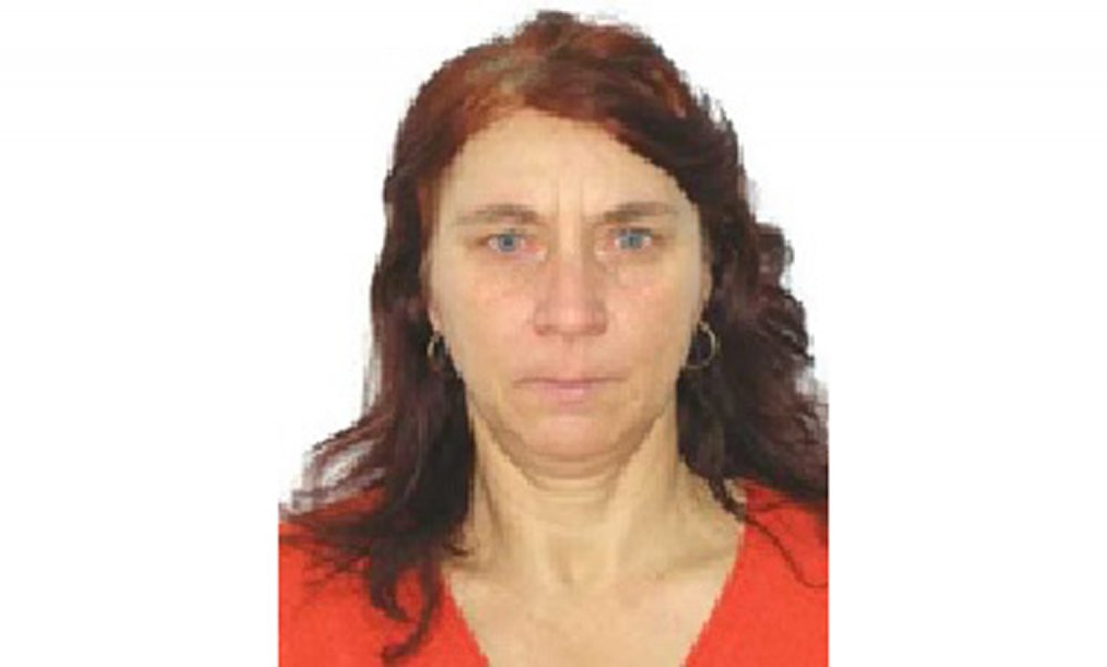 Apel pentru găsirea unei femei dispărute din Pecineaga - 16martiedisparutasursaipjconstan-1584364168.jpg