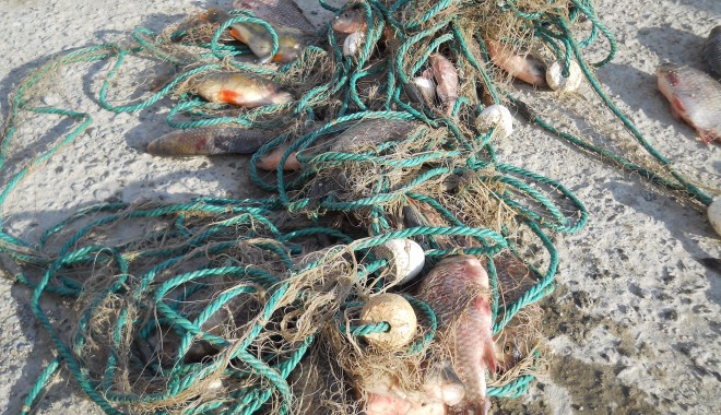 Plase de pescuit și zeci de kilograme de pește - 21maipestetransportgarda13375888-1373360386.jpg