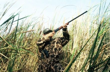 Descinderi la partidele de vânătoare din județul Constanța - 23decembriearmecontroalevanatori-1387800102.jpg