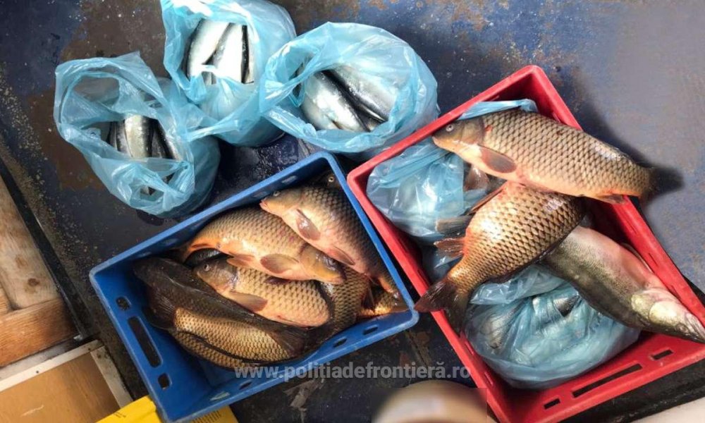Sute de kilograme de pește, în plasele Gărzii de Coastă - 23martpestegranita-1616487942.jpg