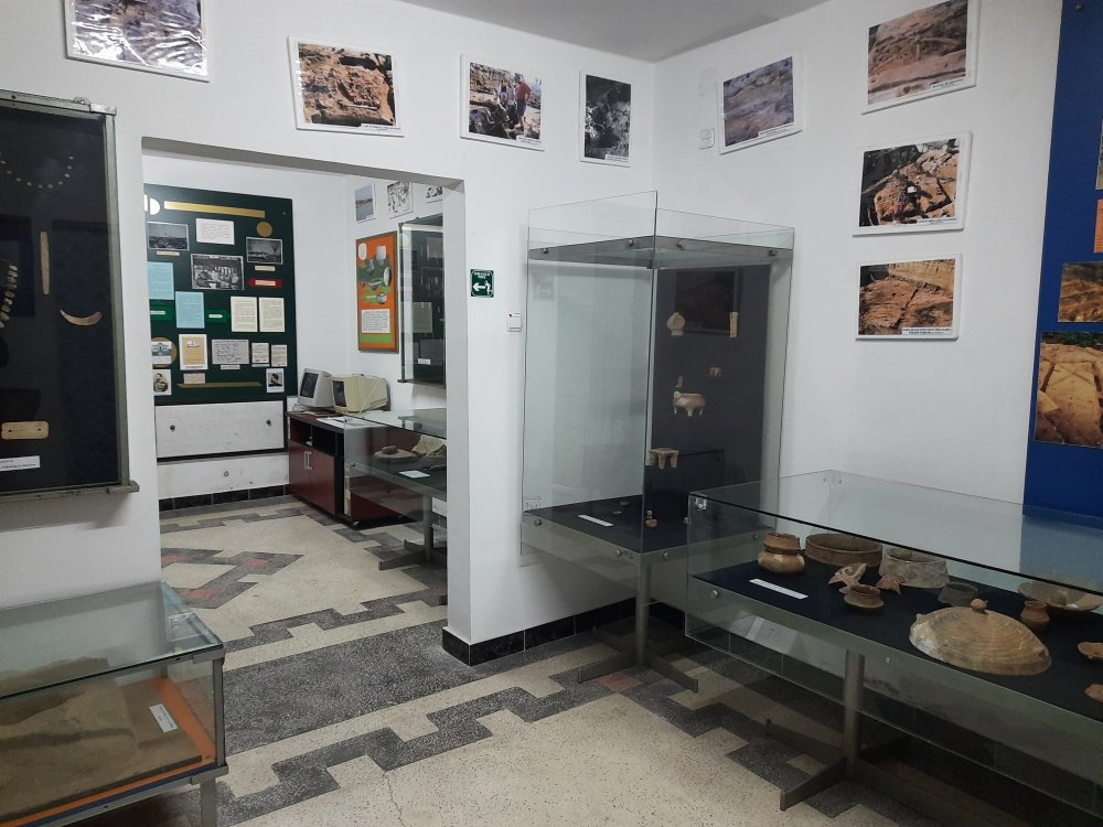 Expoziție arheologică la Muzeul „Carsium” din Hârșova - 26124345946463324787682697219973-1638096517.jpg