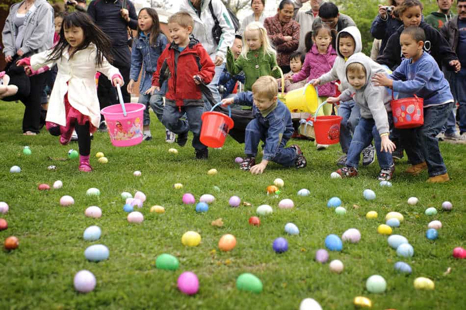Ovidius Park găzduiește marea vânătoare a celor 1.000 de ouă cu surprize - 27857753047461859588241535567033-1650534416.jpg