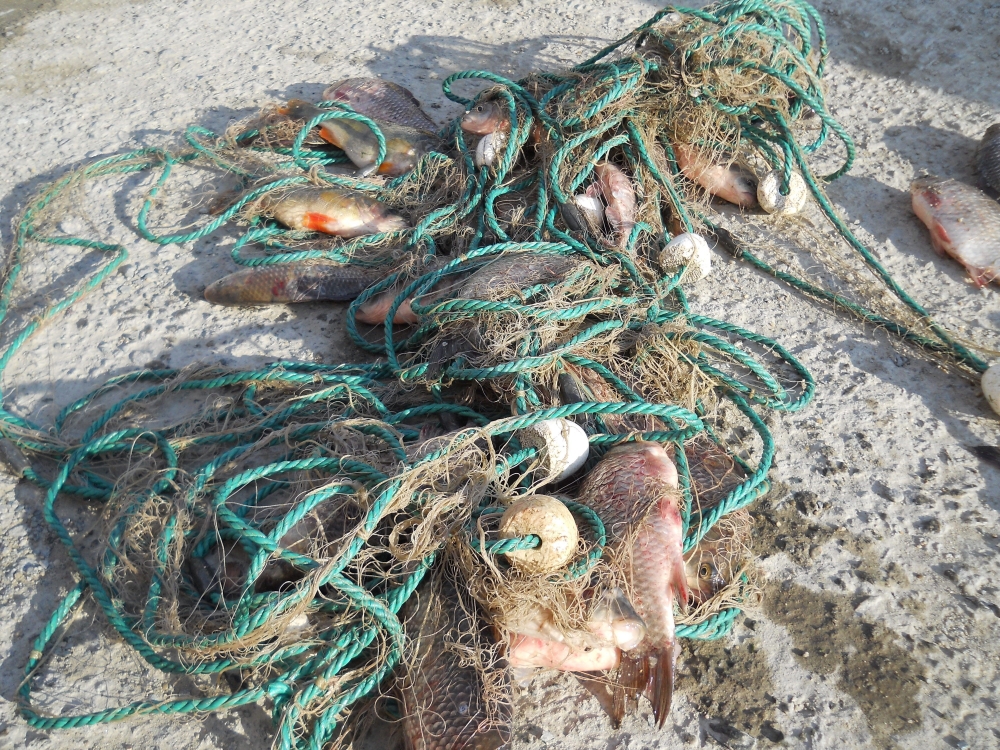 Plase de pescuit confiscate de Garda de Coastă - 27februarieplasepescuitinterzise-1371465615.jpg
