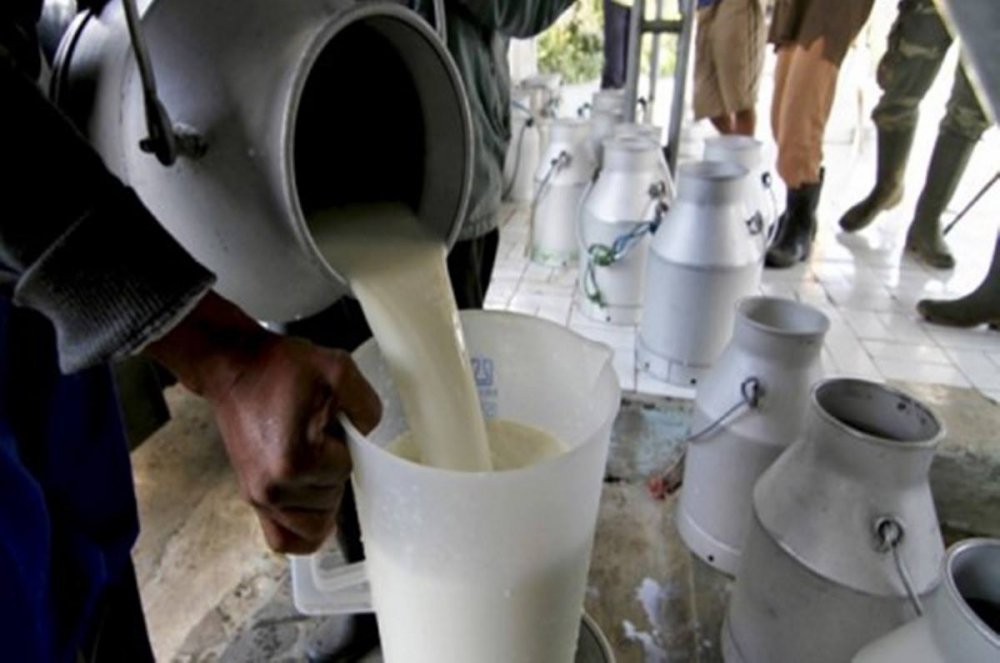 Crește producția internă de lapte, dar și importul - 28000074158730269469521818831875-1518355487.jpg