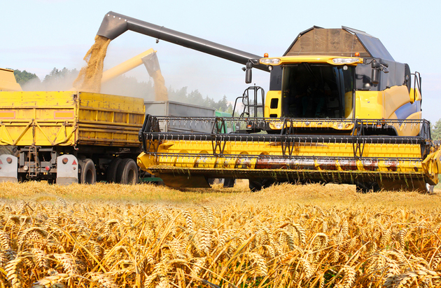 România și Bulgaria vor profita de restricțiile impuse de Rusia exporturilor de grâu - 2851469publimediashutterstock-1419020840.jpg