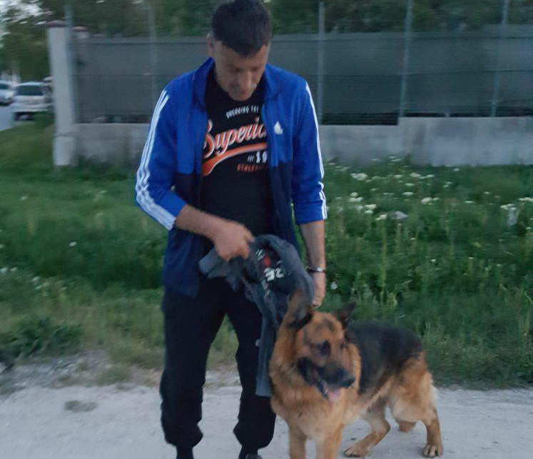 Copil de 6 ani, dat dispărut la Negru Vodă! Un câine polițist chemat în ajutor - 31749581181072927228318485709641-1525239282.jpg