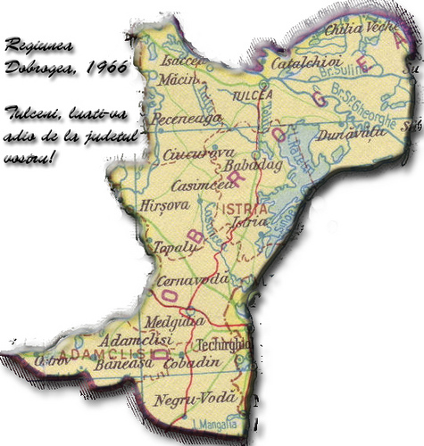 Instituția Prefectului celebrează 135 de ani de la Reintegrarea Dobrogei la Statul Român - 3295587590b9a300d2451-1384261460.jpg