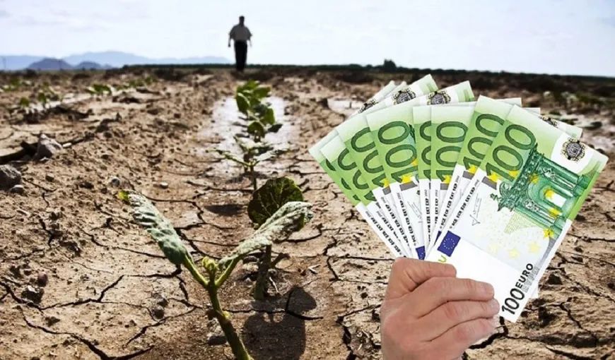 Sprijin european de 391,4 milioane de euro pentru compensarea riscurilor din agricultură - 4sprijineuropeande3914milioanede-1670249462.jpg