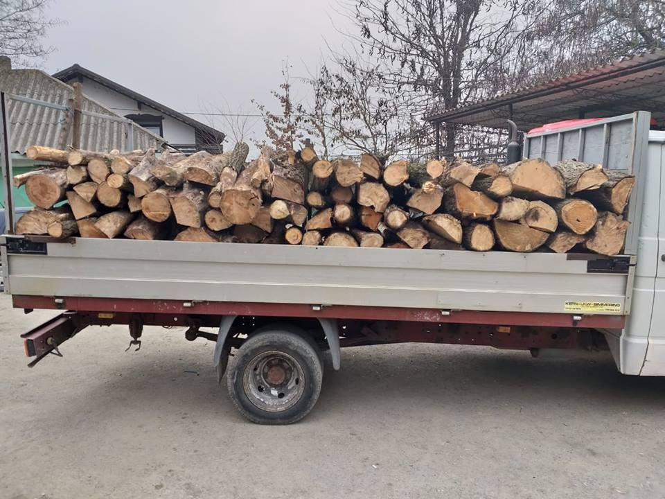 Depistat de jandarmi transportând lemne fără documente legale - 52938244201682506844377372943276-1550838912.jpg