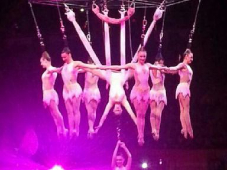 VIDEO. SCENE TERIFIANTE la un spectacol de circ: nouă acrobați au căzut de la înălțime - 56c52newsapcircushairhangingstun-1399280458.jpg