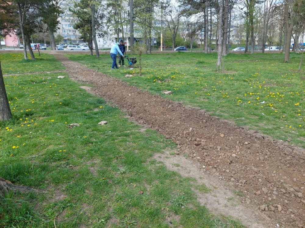 Curățenie de primăvară în cartierele din Constanţa - 7-1649862034.jpg